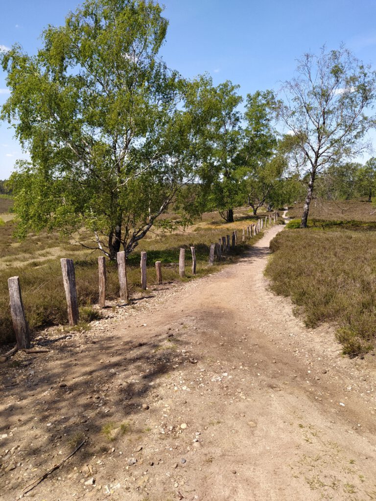 Harburger Berge und Fischbecker Heide