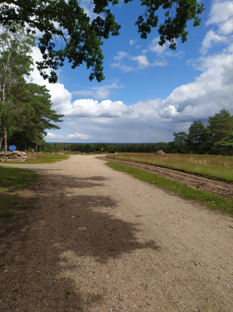 Schneverdingen Lüneburger Heide