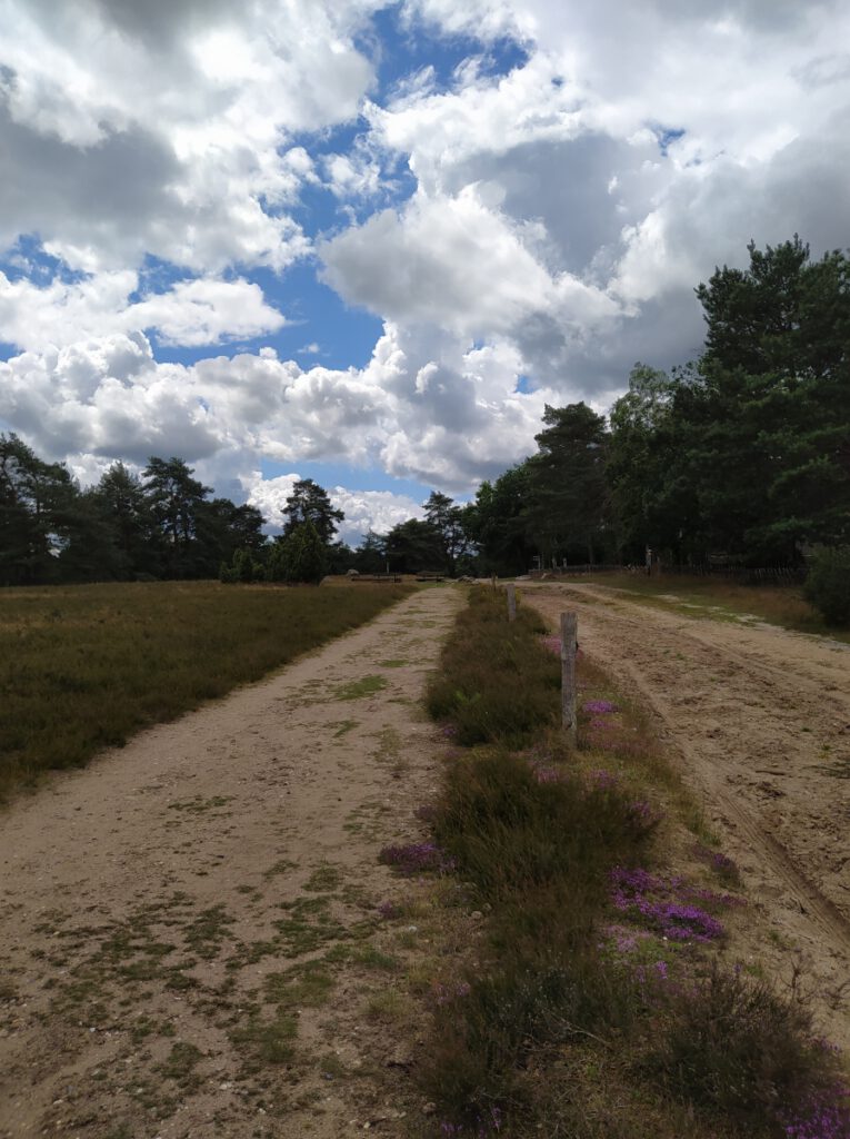 Schneverdingen Lüneburger Heide