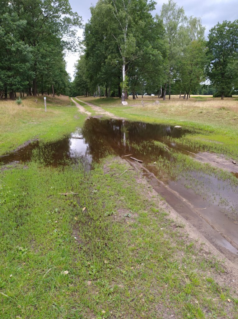 Schneverdingen Lüneburger Heide