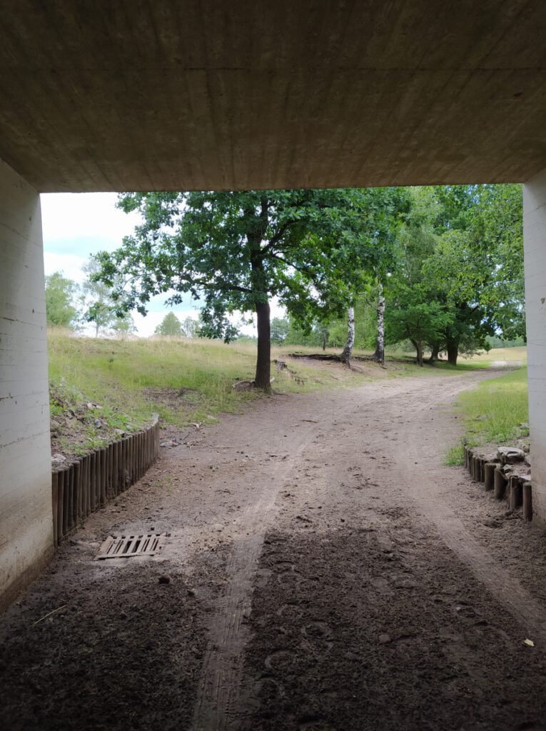 Schneverdingen Lüneburger Heide