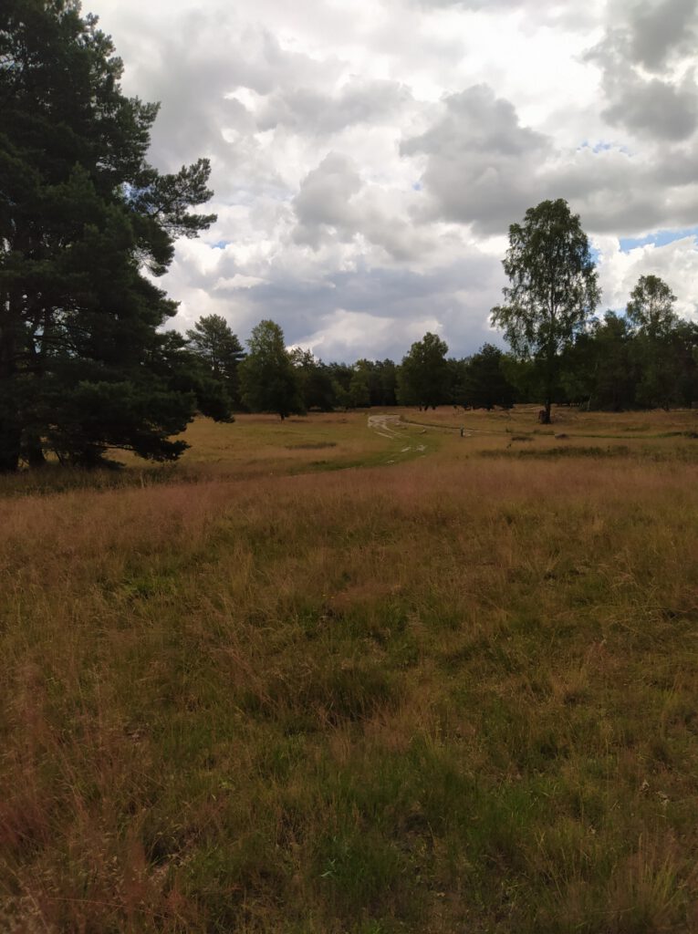 Schneverdingen Lüneburger Heide