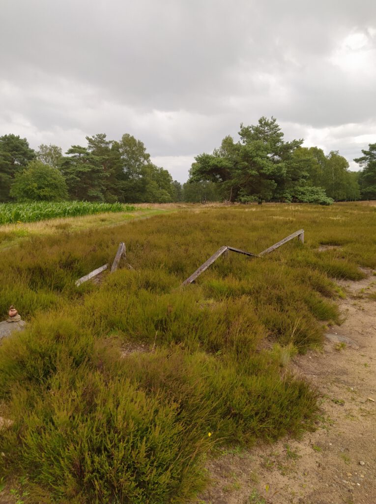 Schneverdingen Lüneburger Heide