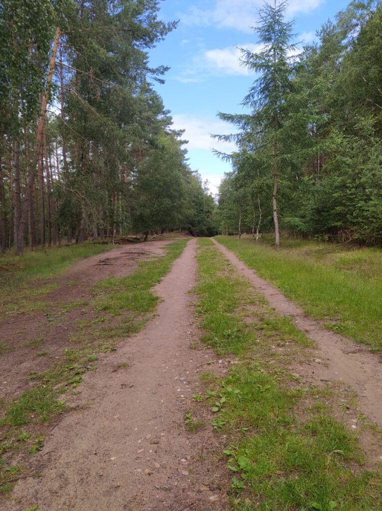 Schneverdingen Lüneburger Heide