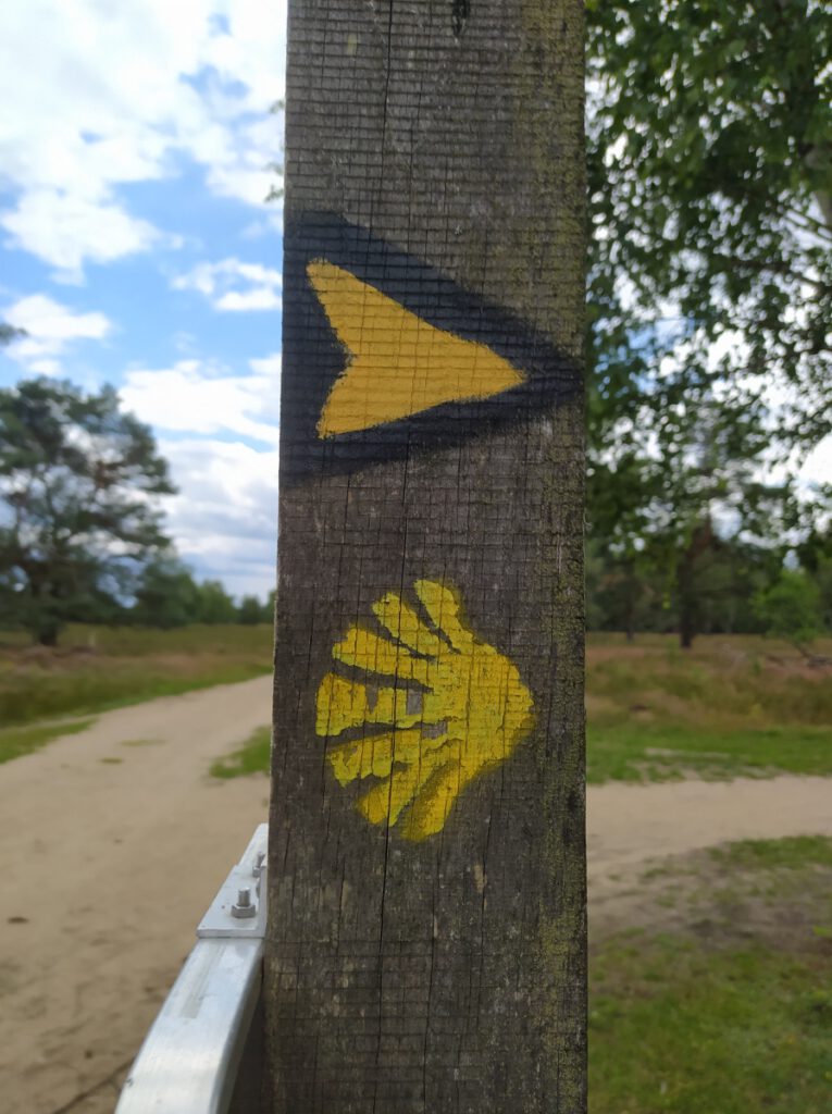 Schneverdingen Lüneburger Heide