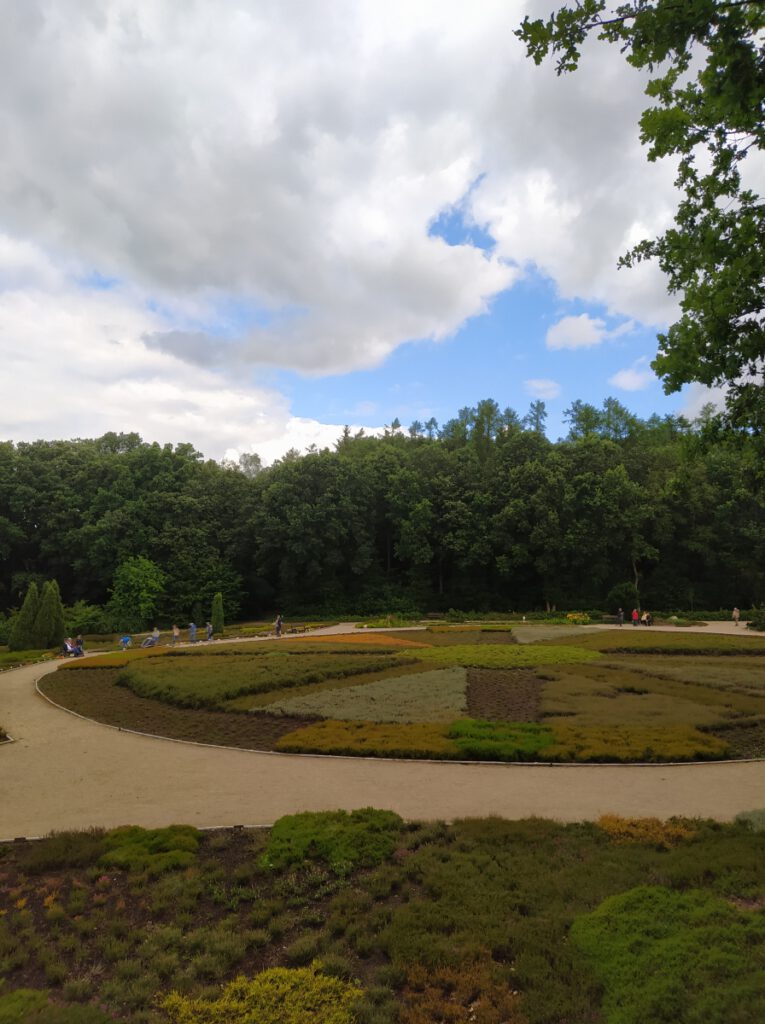 Schneverdingen Lüneburger Heide