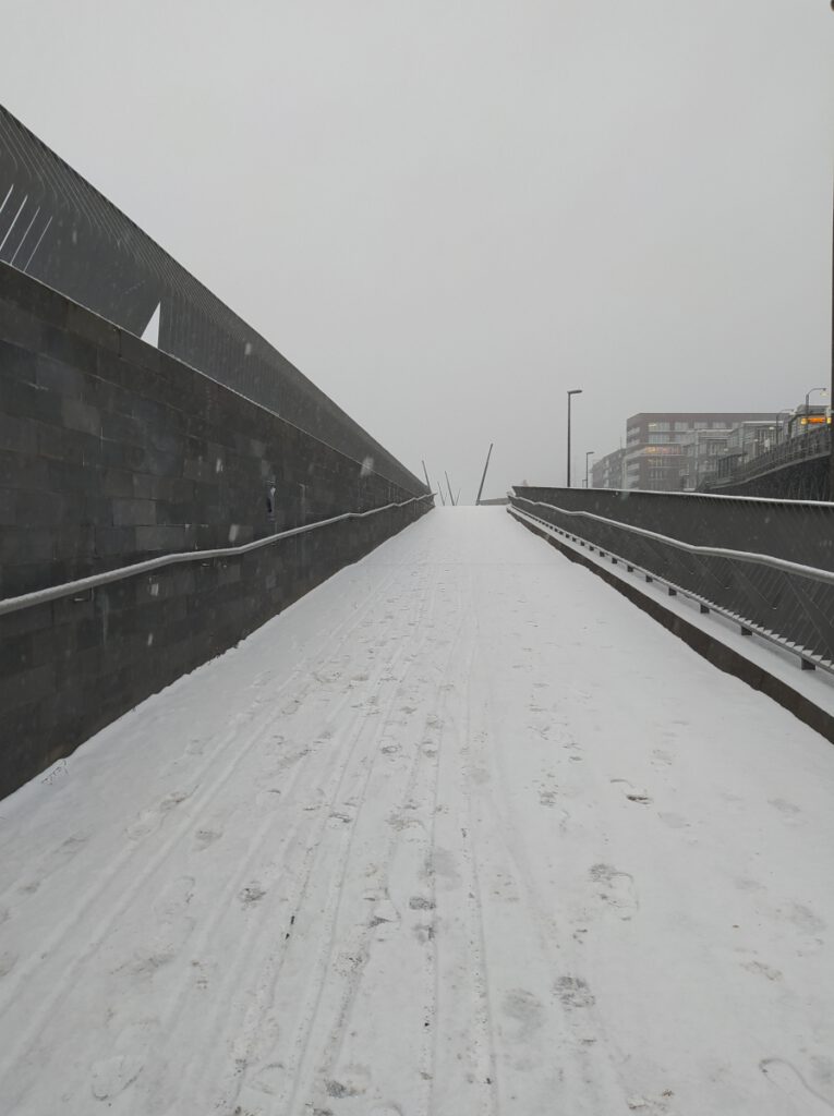 Winter in Hamburg 2021