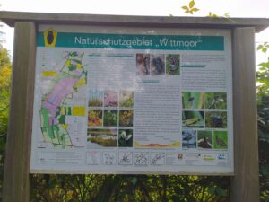 Wittmoor