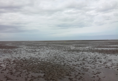 Nordsee