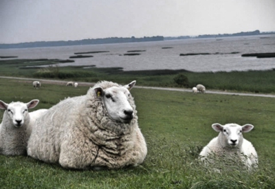 Ausflüge