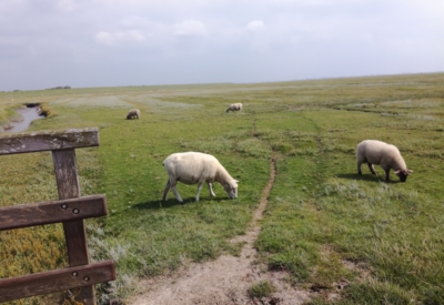 Nordsee