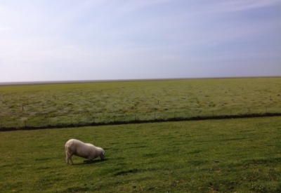 Nordsee