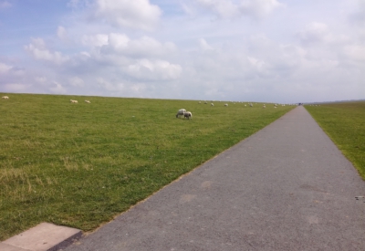 Nordsee
