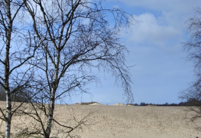 Ausflüge