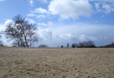 Boberger Dünen