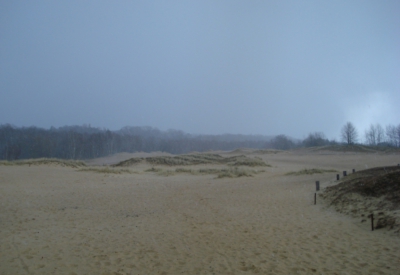 Boberger Dünen