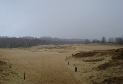 Boberger Dünen