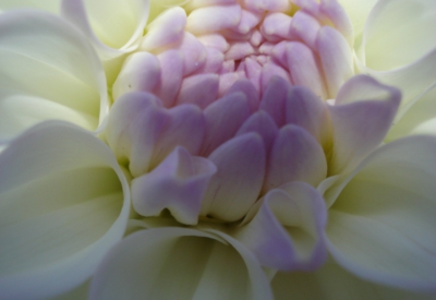 Blumen