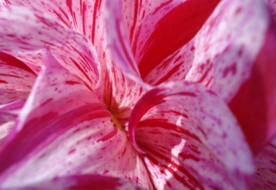 Blumen