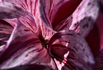 Blumen