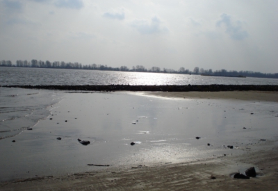 Elbe