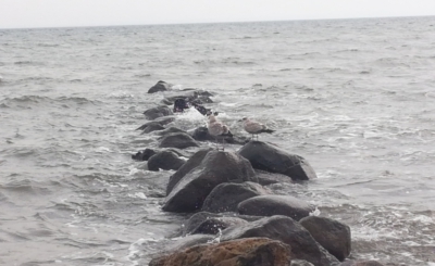 Ostsee