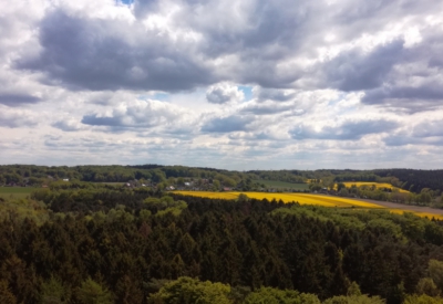 Wald und Natur
