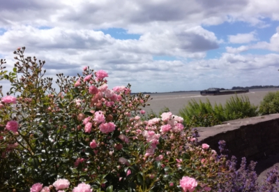 Blumen