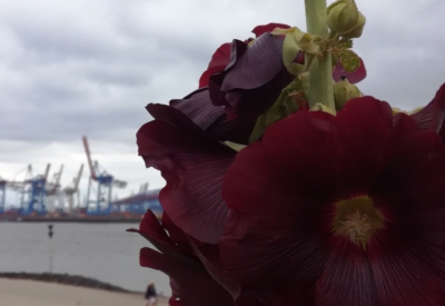 Blumen