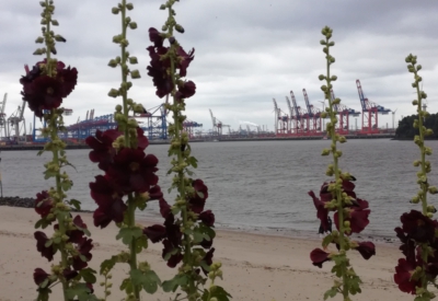 Blumen