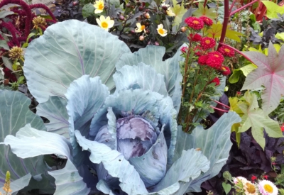 Blumen