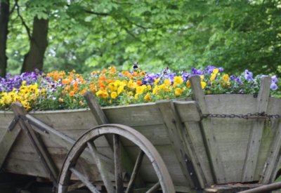 Blumen
