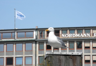 Möwen