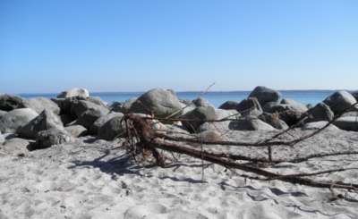 Ostsee