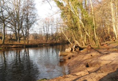 Wald und Natur