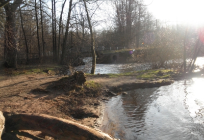 Wald und Natur