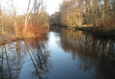 Wald und Natur