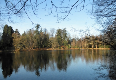 Wald und Natur