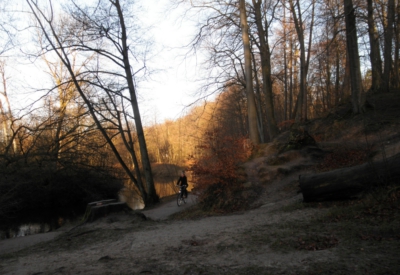 Wald und Natur