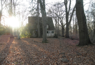 Wald und Natur